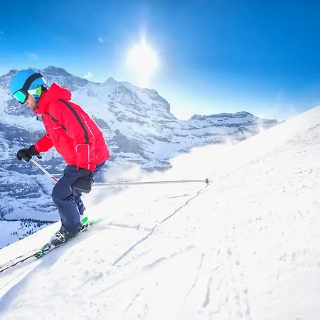 Tannenheim By Interhome Davos