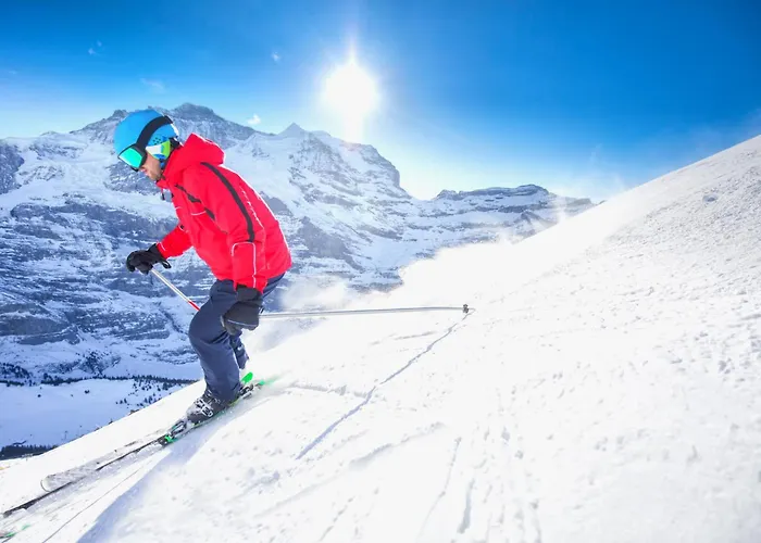 Tannenheim By Interhome Ostrava