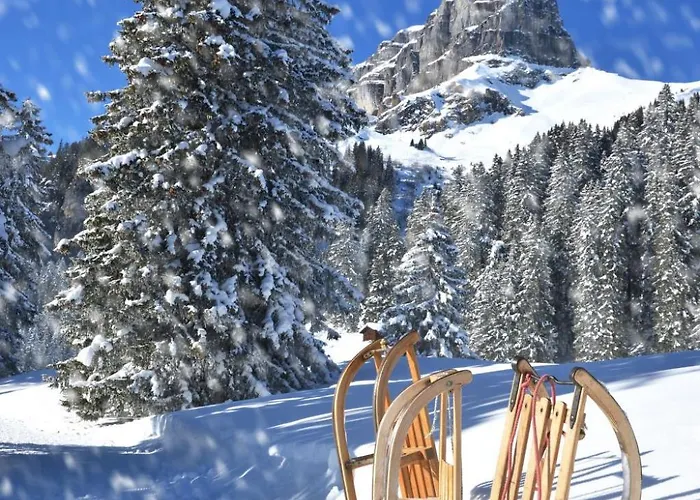 Tannenheim By Interhome Apartment *